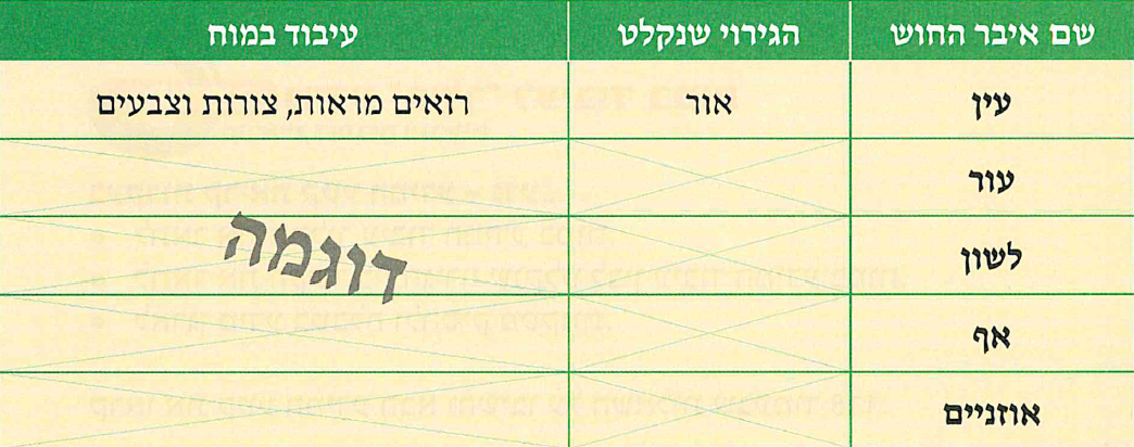 (בספר תרשים:) מידע מהגוף למוח